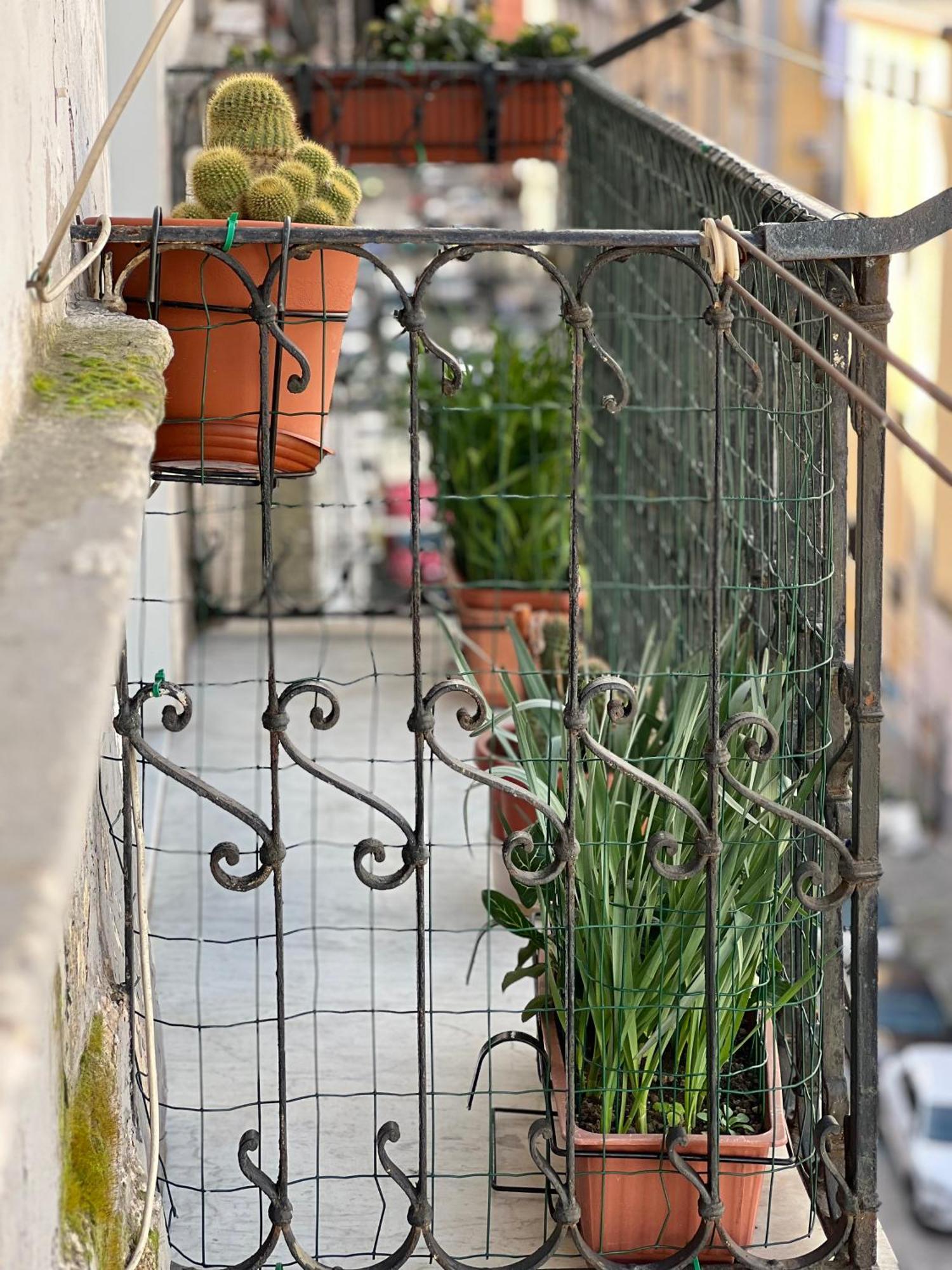 Bed and Breakfast Bruno House Napoli Esterno foto